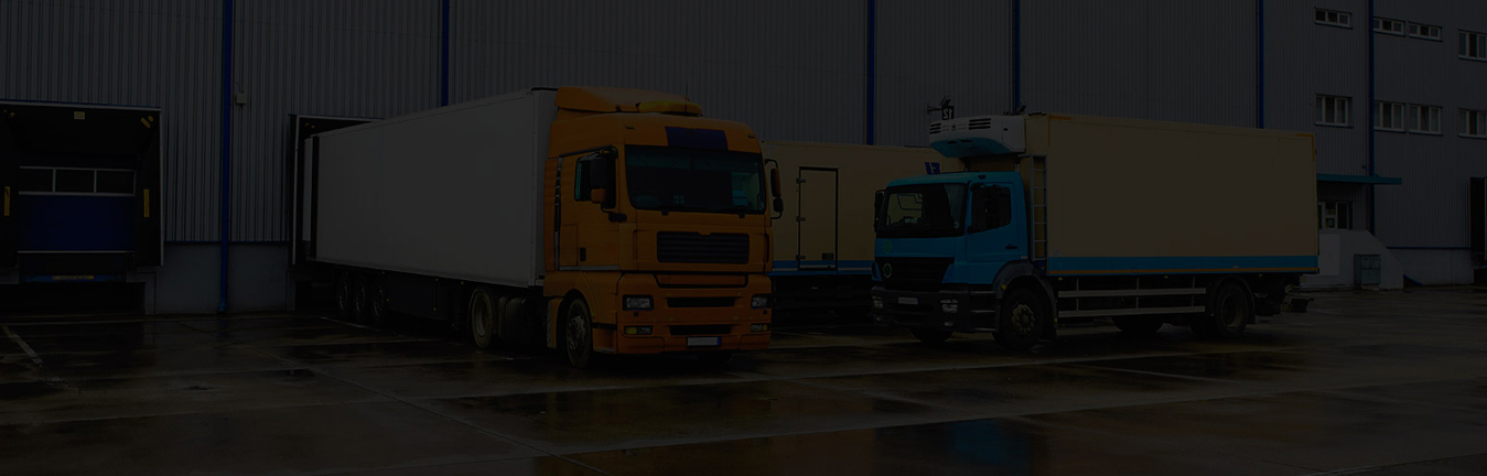 LAND TRANSPORT