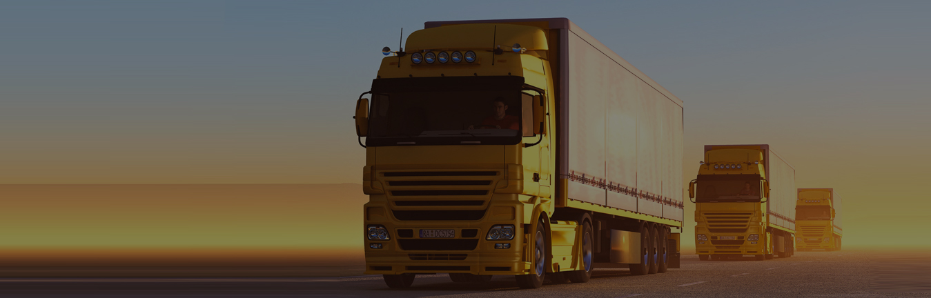 LAND TRANSPORT
