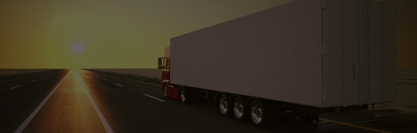 LAND TRANSPORT
